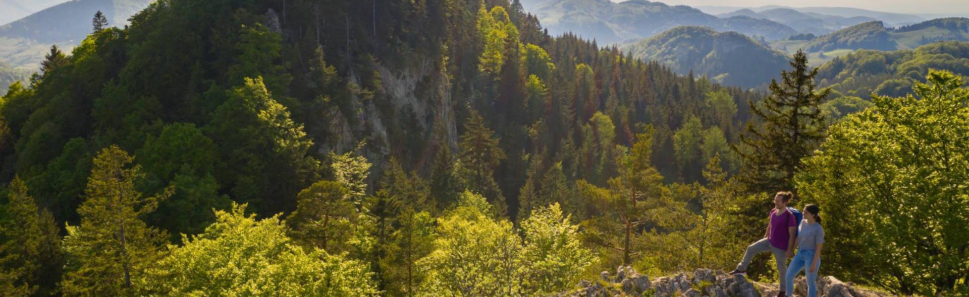 Baselland-belchen ©Baselland Tourismus