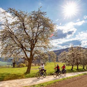 Baselland E-Bike Asphof ©Baselland Tourismus Jan Geerk