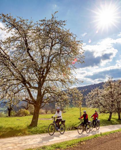 Baselland E-Bike Asphof ©Baselland Tourismus Jan Geerk