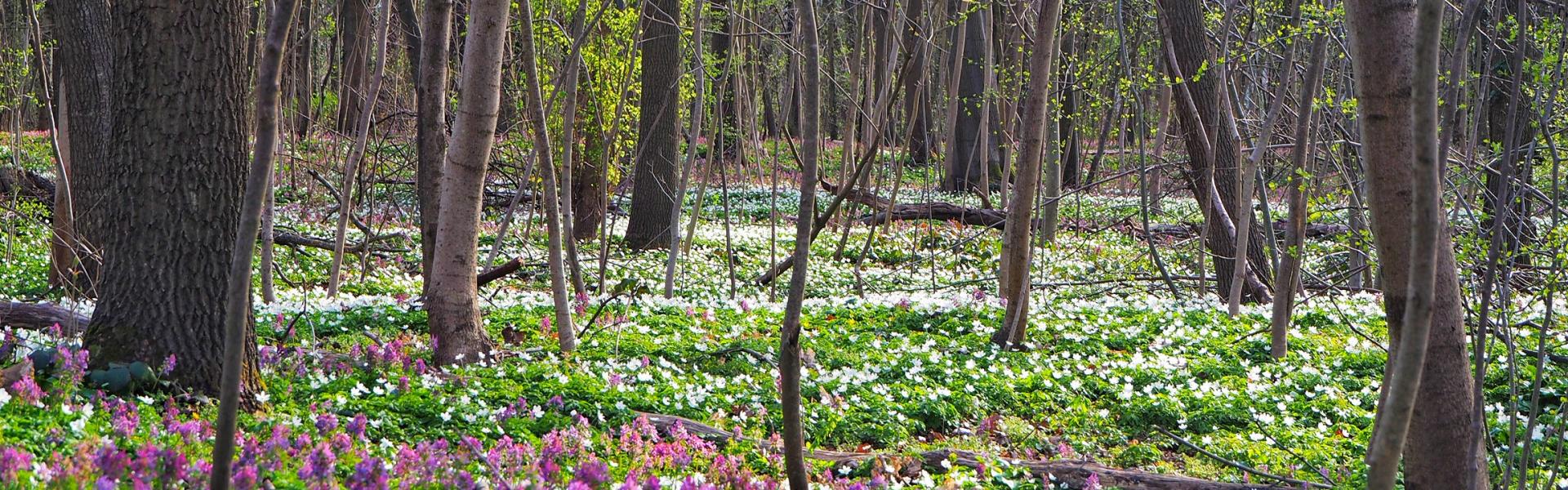 au cœur des grands espaces naturels